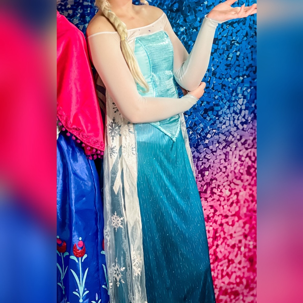 Elsa costume dress